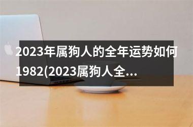 2025年属狗人的全年运势如何1982(2025属狗人全年运势解析！)