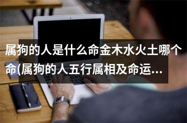 属狗的人是什么命金木水火土哪个命(属狗的人五行属相及命运特点，拟新标题。)