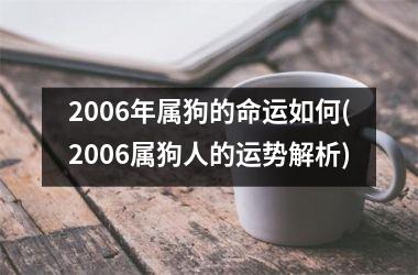 2006年属狗的命运如何(2006属狗人的运势解析)