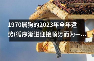 1970属狗的2025年全年运势(循序渐进迎接顺势而为——2025年属狗人运势解析)