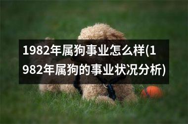 1982年属狗事业怎么样(1982年属狗的事业状况分析)