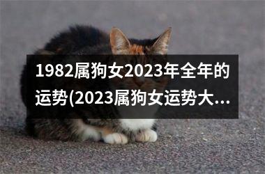 1982属狗女2025年全年的运势(2025属狗女运势大揭秘)