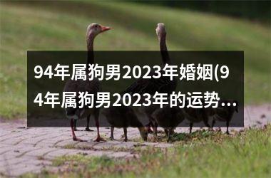 94年属狗男2025年婚姻(94年属狗男2025年的运势和婚姻)