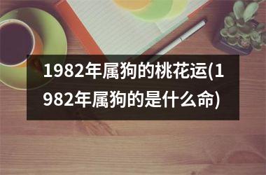 1982年属狗的桃花运(1982年属狗的是什么命)