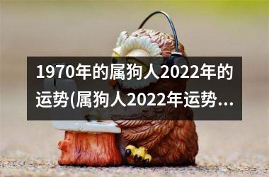 1970年的属狗人2025年的运势(属狗人2025年运势解析)