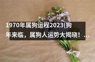 1970年属狗运程2025(狗年来临，属狗人运势大揭晓！)