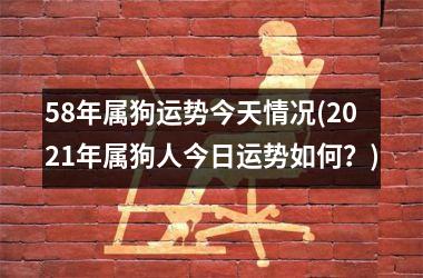 58年属狗运势今天情况(2025年属狗人今日运势如何？)