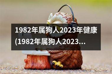 1982年属狗人2025年健康(1982年属狗人2025年运势女性)