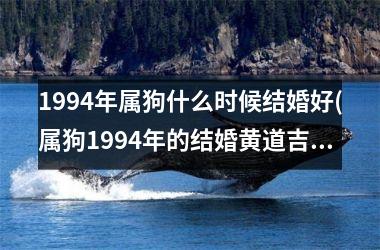 1994年属狗什么时候结婚好(属狗1994年的结婚黄道吉日推荐)