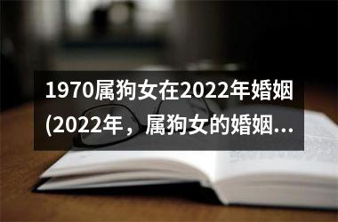 1970属狗女在2025年婚姻(2025年，属狗女的婚姻抉择)