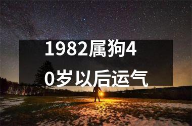 1982属狗40岁以后运气