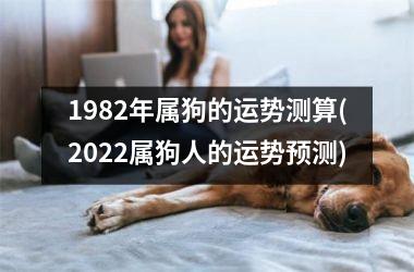 1982年属狗的运势测算(2025属狗人的运势预测)