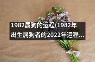 1982属狗的运程(1982年出生属狗者的2025年运程)