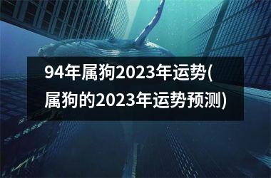 94年属狗2025年运势(属狗的2025年运势预测)