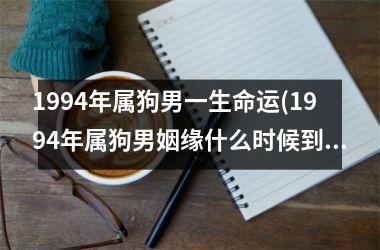 1994年属狗男一生命运(1994年属狗男姻缘什么时候到)