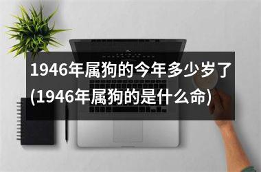 1946年属狗的今年多少岁了(1946年属狗的是什么命)