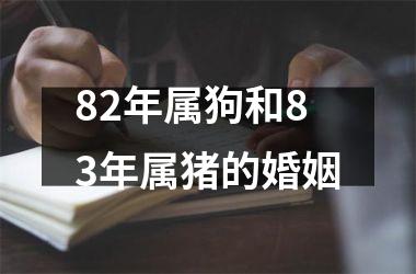 82年属狗和83年属猪的婚姻