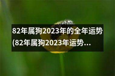 82年属狗2025年的全年运势(82年属狗2025年运势及运程)