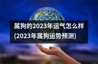 <h3>属狗的2025年运气怎么样(2025年属狗运势预测)