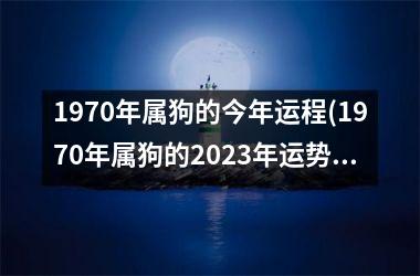 1970年属狗的今年运程(1970年属狗的2025年运势和财运怎么样)