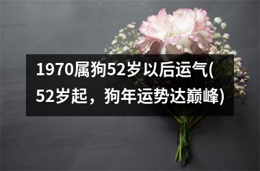 1970属狗52岁以后运气(52岁起，狗年运势达巅峰)