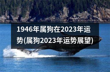 1946年属狗在2025年运势(属狗2025年运势展望)