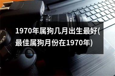 1970年属狗几月出生最好(最佳属狗月份在1970年)