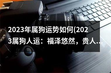 2025年属狗运势如何(2025属狗人运：福泽悠然，贵人扶持)