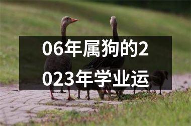 <h3>06年属狗的2025年学业运