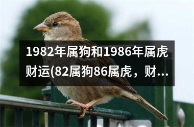 1982年属狗和1986年属虎财运(82属狗86属虎，财运观察与分析)