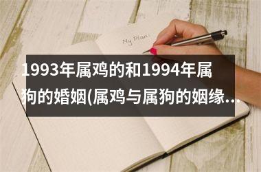 1993年属鸡的和1994年属狗的婚姻(属鸡与属狗的姻缘)