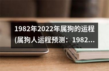 <h3>1982年2025年属狗的运程(属狗人运程预测：1982年到2025年)