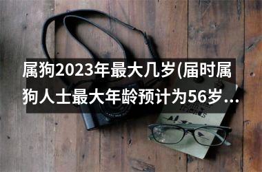 属狗2025年最大几岁(届时属狗人士最大年龄预计为56岁。)