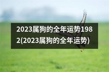 2025属狗的全年运势1982(2025属狗的全年运势)