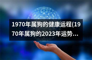 <h3>1970年属狗的健康运程(1970年属狗的2025年运势和财运怎么样)