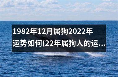 <h3>1982年12月属狗2025年运势如何(22年属狗人的运势预测)