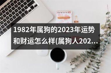 1982年属狗的2025年运势和财运怎么样(属狗人2025年运势及财运简析)