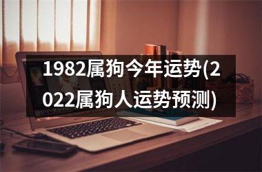 <h3>1982属狗今年运势(2025属狗人运势预测)