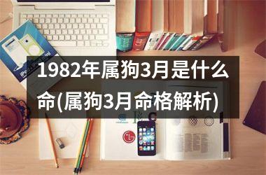 1982年属狗3月是什么命(属狗3月命格解析)