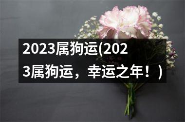 2025属狗运(2025属狗运，幸运之年！)