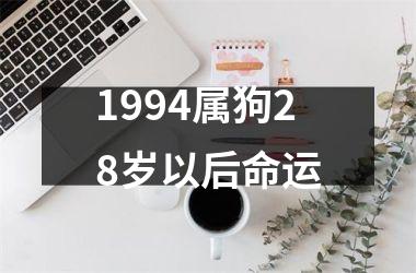 1994属狗28岁以后命运