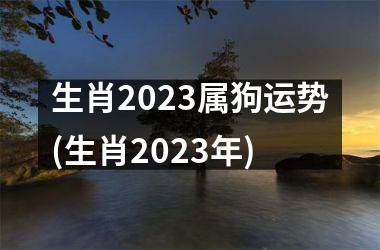 生肖2025属狗运势(生肖2025年)