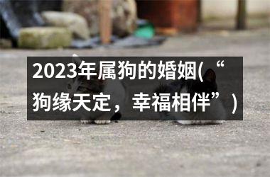 <h3>2025年属狗的婚姻(“狗缘天定，幸福相伴”)