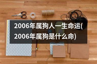 2006年属狗人一生命运(2006年属狗是什么命)