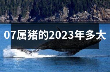 07属猪的2025年多大