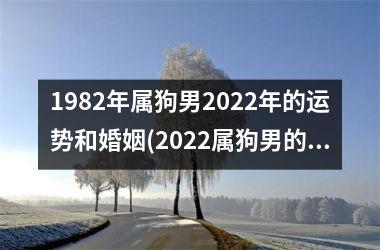 1982年属狗男2025年的运势和婚姻(2025属狗男的婚姻运势大揭秘)