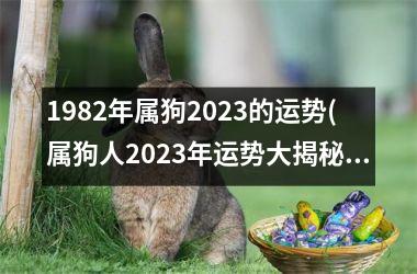 1982年属狗2025的运势(属狗人2025年运势大揭秘！)