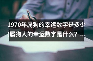 1970年属狗的幸运数字是多少(属狗人的幸运数字是什么？)