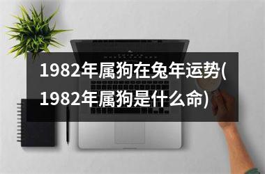 1982年属狗在兔年运势(1982年属狗是什么命)