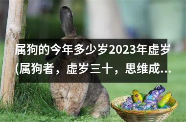 属狗的今年多少岁2025年虚岁(属狗者，虚岁三十，思维成熟，展翅飞翔。)